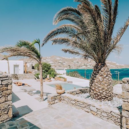 Aelia Mykonos Otel Ornos  Dış mekan fotoğraf