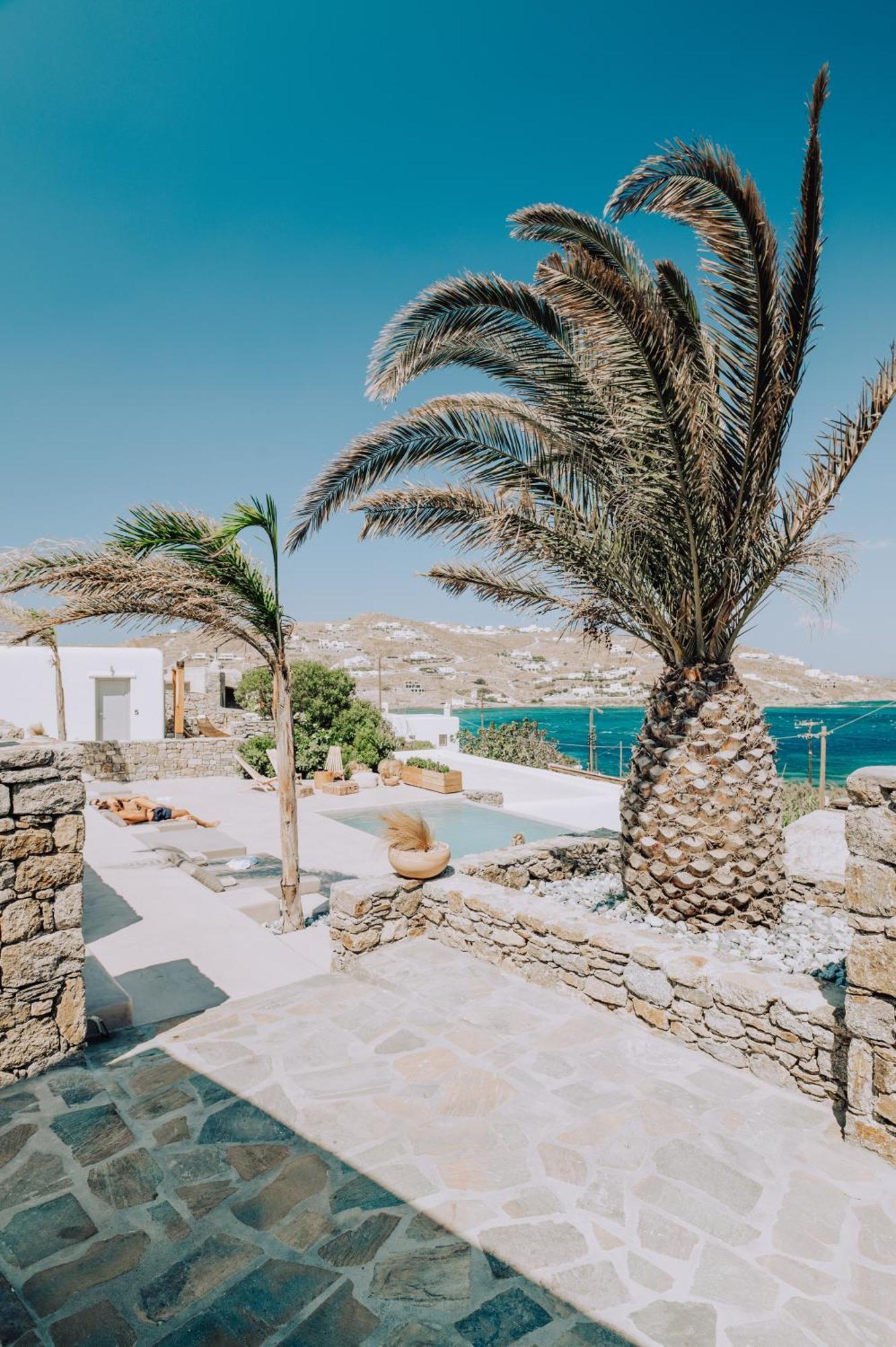 Aelia Mykonos Otel Ornos  Dış mekan fotoğraf