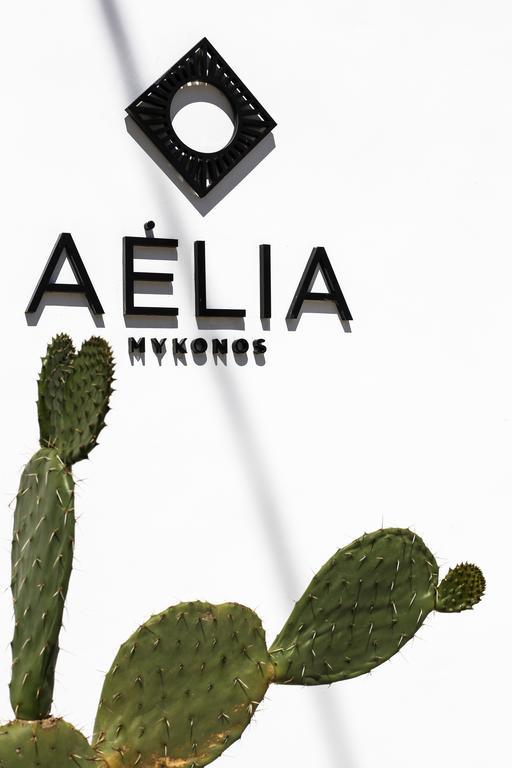 Aelia Mykonos Otel Ornos  Dış mekan fotoğraf