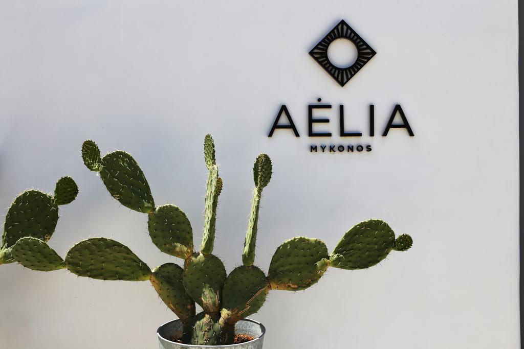 Aelia Mykonos Otel Ornos  Dış mekan fotoğraf